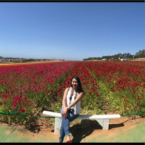 Meet your Posher, Jossy